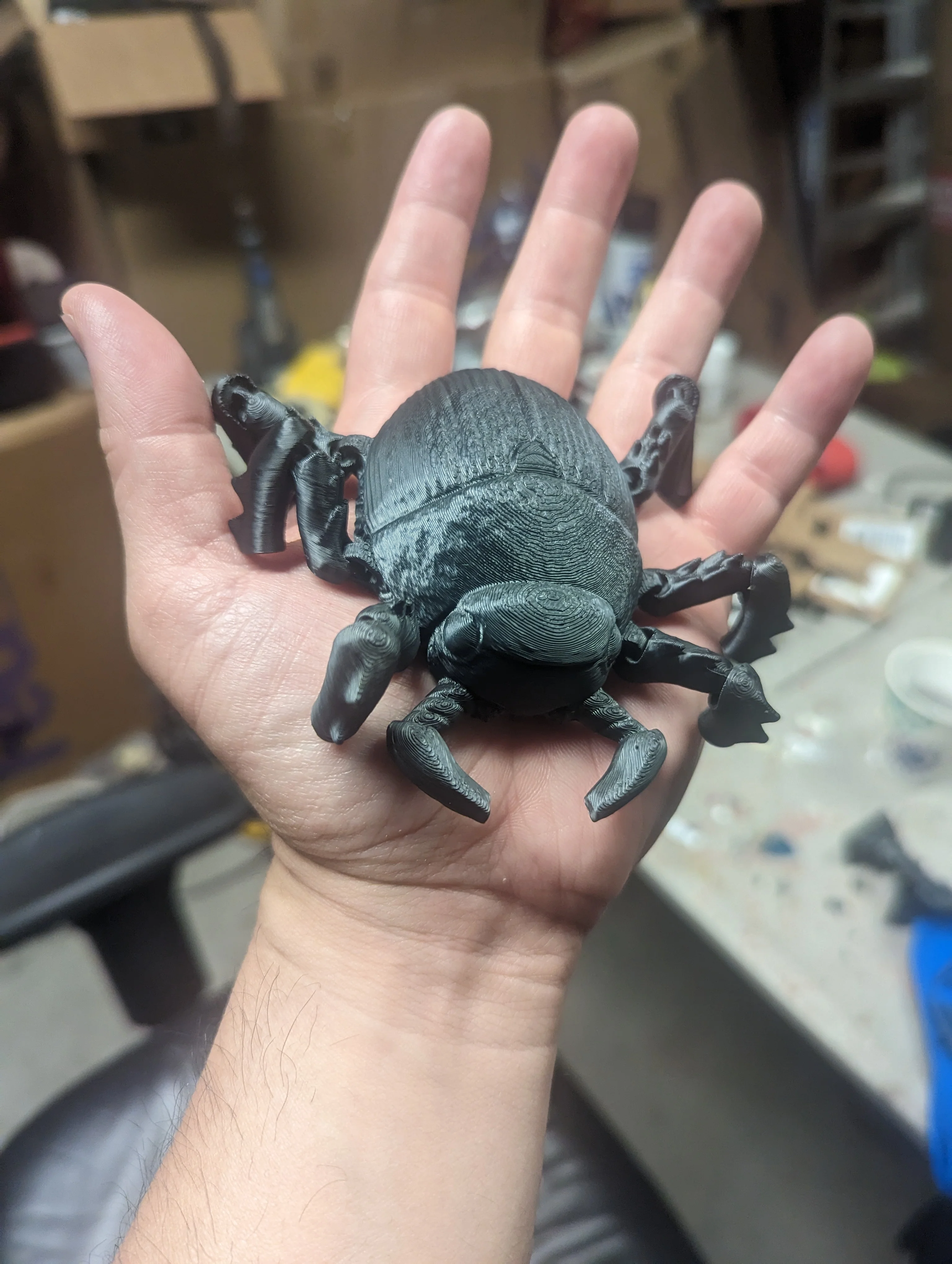Flexi Beetle - Image 2