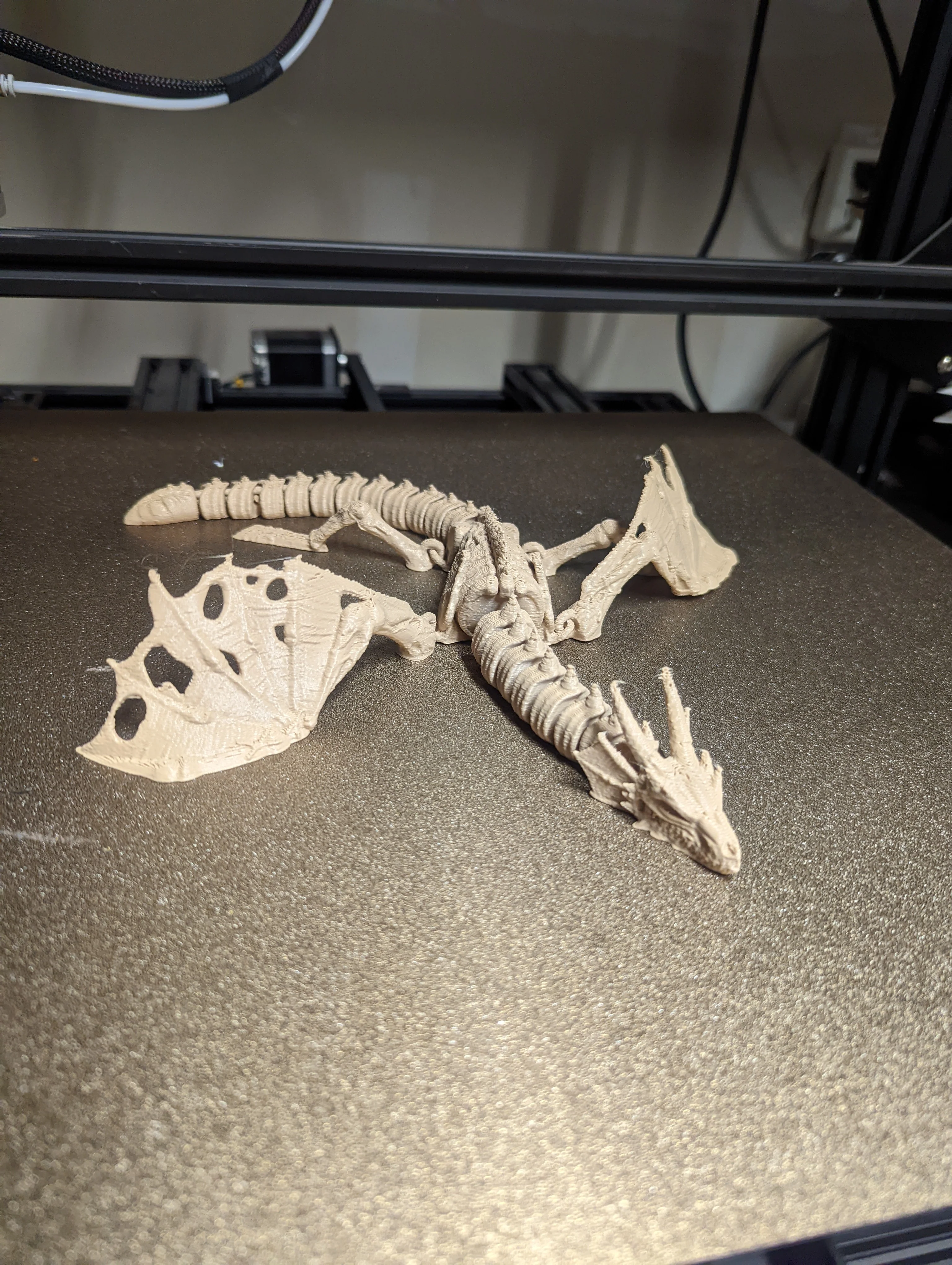 Flexi Bone Dragon