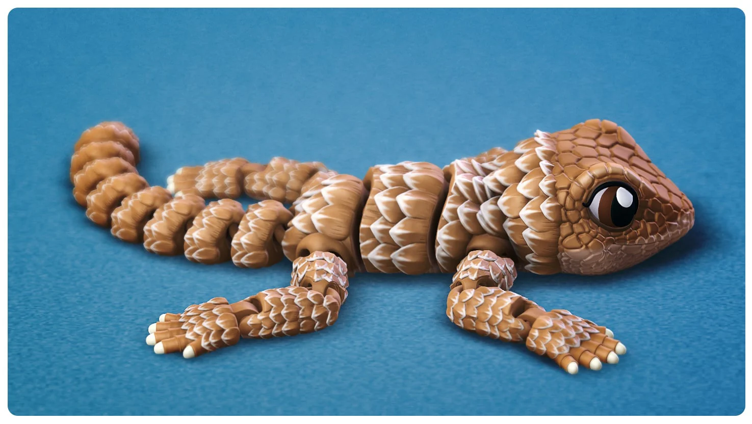 Flexi Girdled Lizard - Image 2