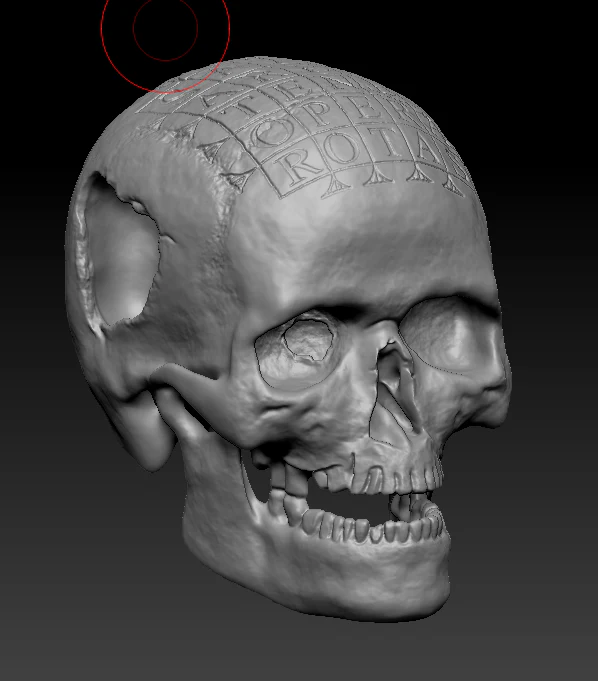 German Oath Skull - Image 4