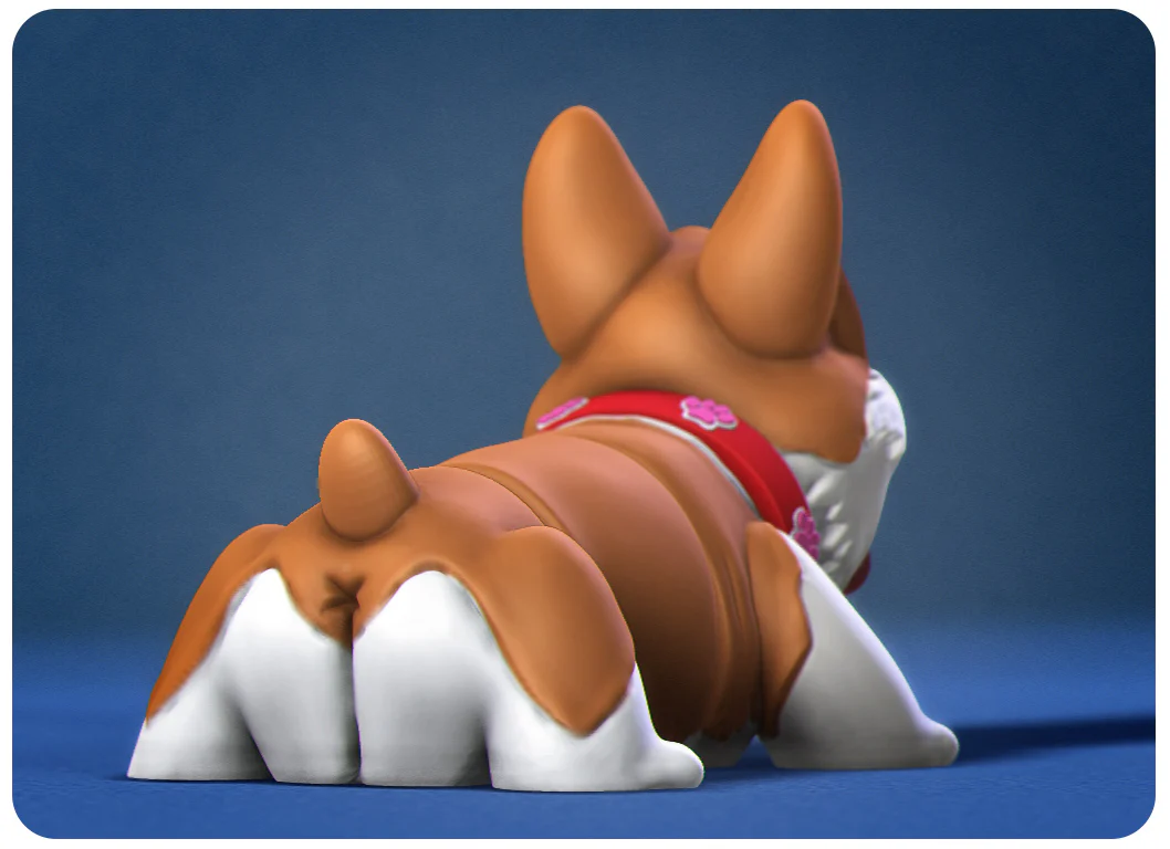 Happy Dogs Corgi - Image 3